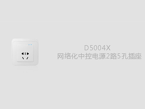 D5004X