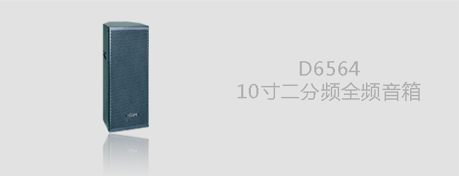 D6564  10寸全頻音箱
