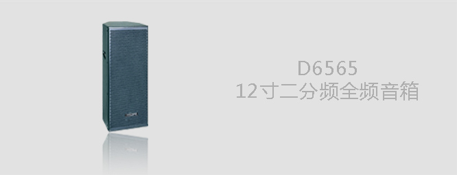 D6565  12寸全頻音箱