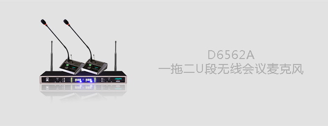 D6562A  一拖二無線麥克風